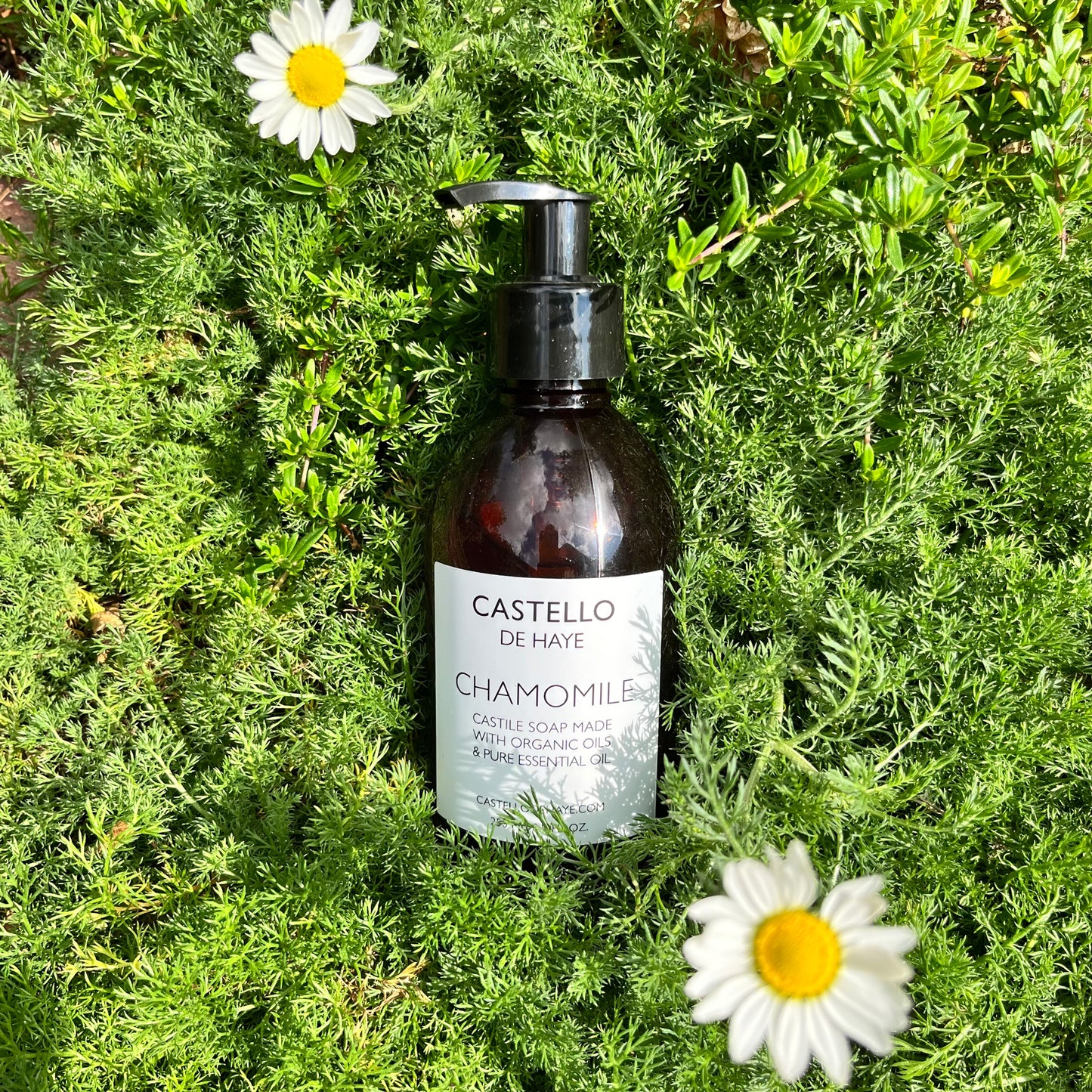 Brown bottle labeled 'Castello de Haye Chamomile' on green foliage with daisies.