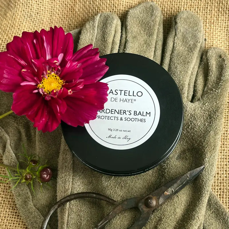 Gardener's balm with a pink flower and green gloves on a textured background