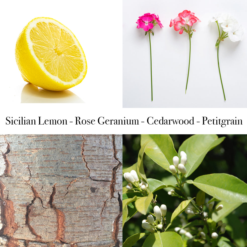Lemon half, 3 stems of rose geranium, cedar wood and orange blossom with a label over the top saying Sicilian Lemon, Rose Geranium, Cedarwood, Petitgrain