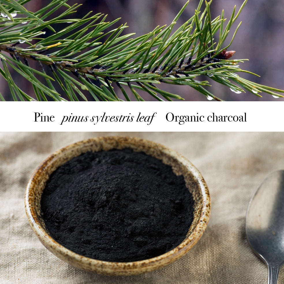 Charcoal Soap Bar - Black Mountain Aromatherapy, Natural Detox Handmade, Castello de Haye