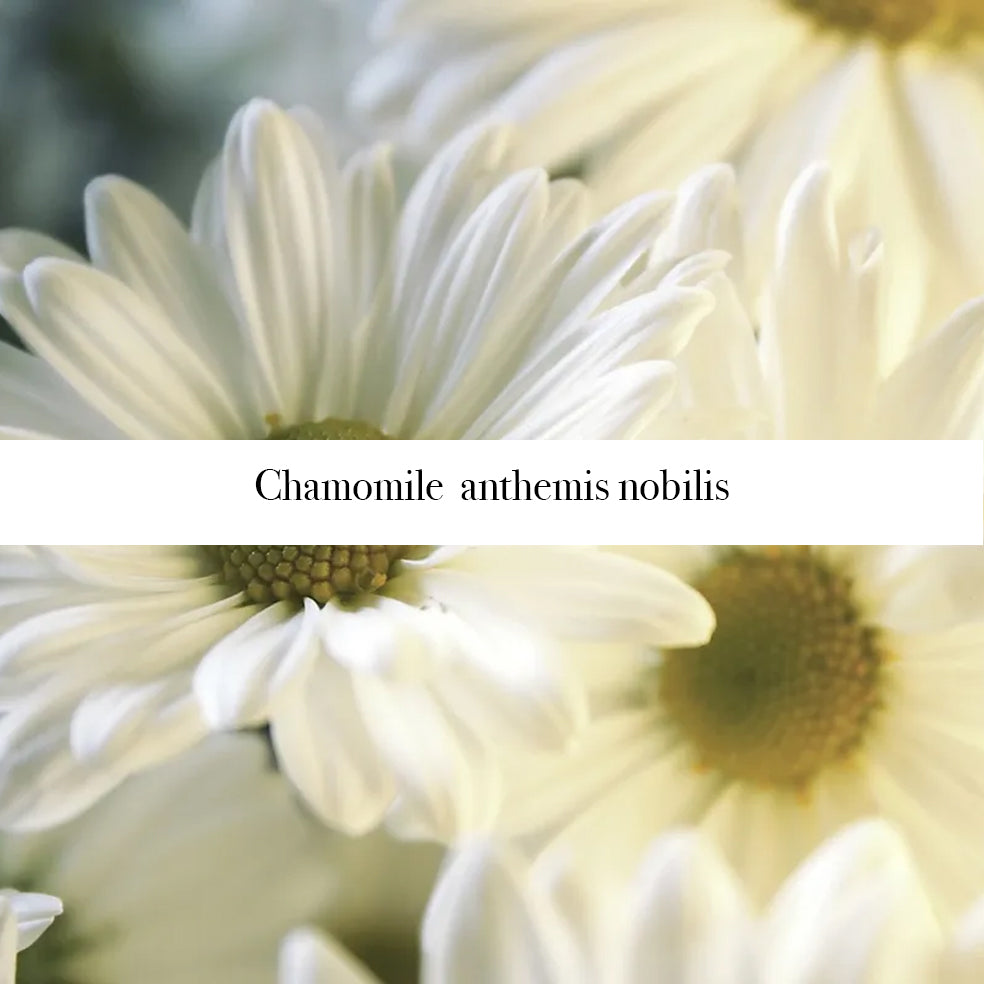 Soothing Chamomile Castile Soap with Organic Oils