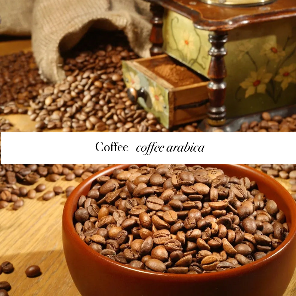 Coffee Soap Bar, Natural Exfoliating Handmade Soap