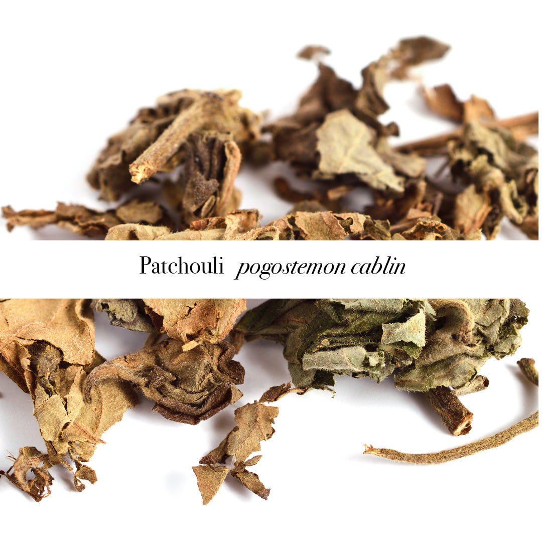 Patchouli Essential Oil, 10ml - Grounding Pure Aromatherapy Oil