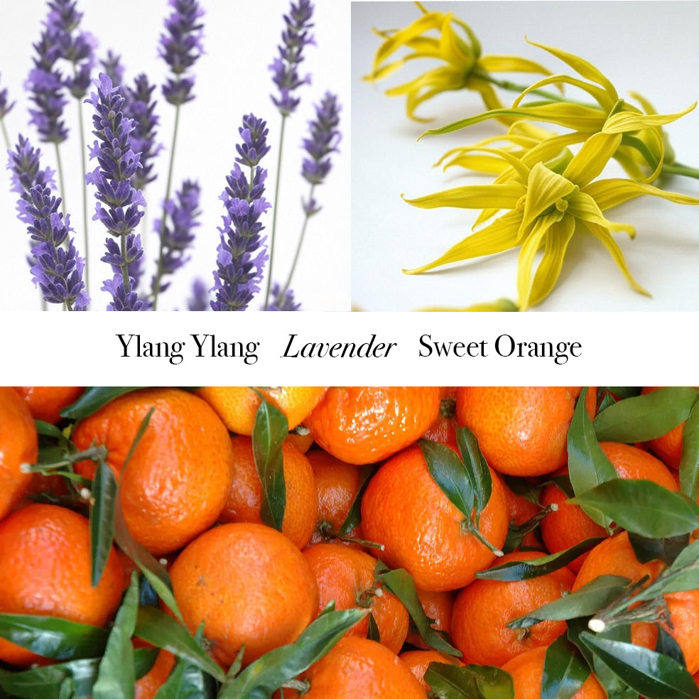 No.3 Relax Essential Oil, 10ml - Ylang Ylang, Lavender & Orange Pure Aromatherapy Oil