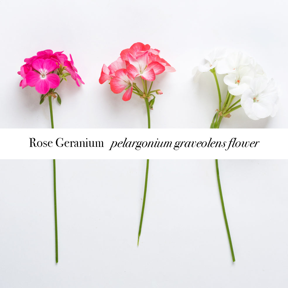 Rose Geranium Room Mist (spray), 100ml - Uplifting Aromatherapy,