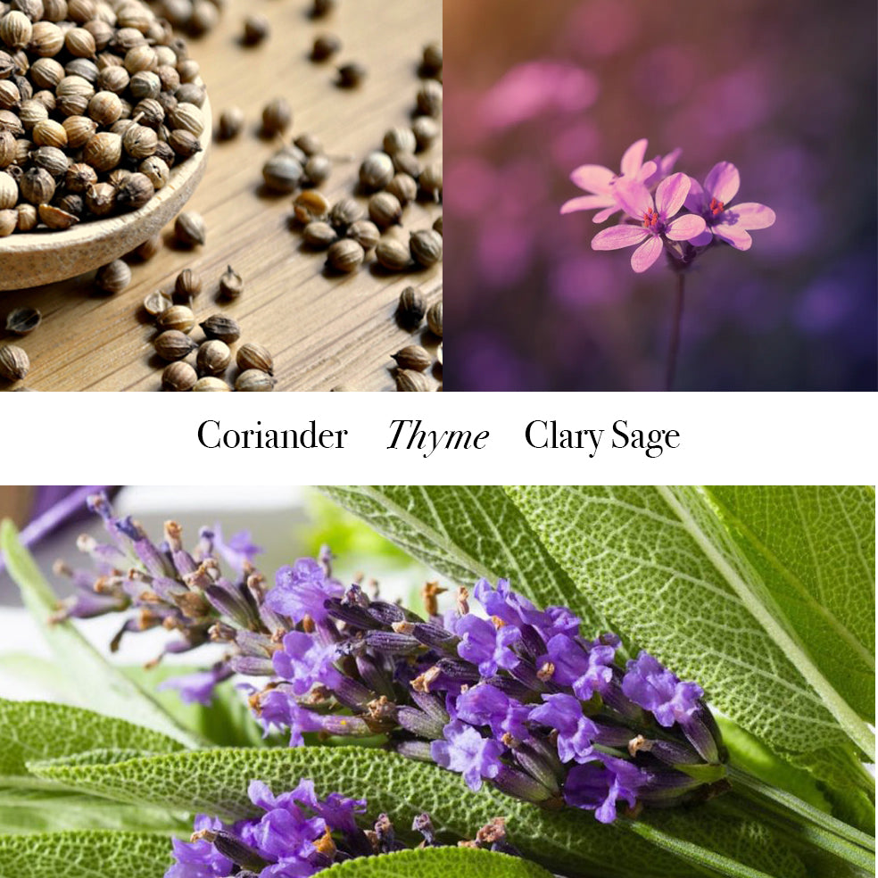 Herbal Salvia Castile Soap with Organic Oils